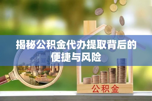 玉树揭秘公积金代办提取背后的便捷与风险
