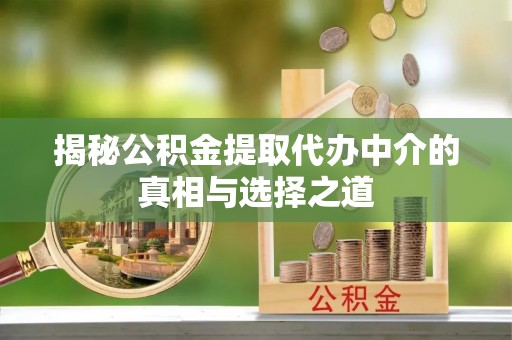 玉树揭秘公积金提取代办中介的真相与选择之道