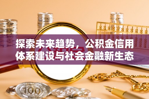 玉树探索未来趋势，公积金信用体系建设与社会金融新生态