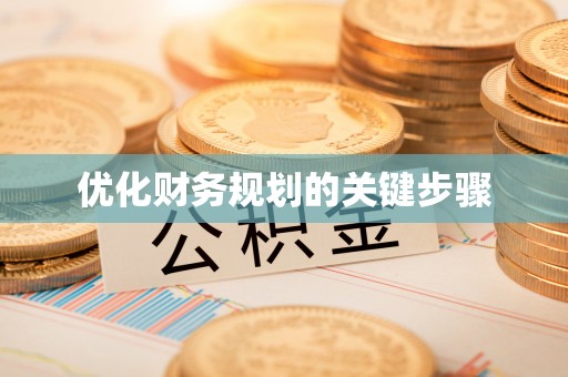 玉树优化财务规划的关键步骤