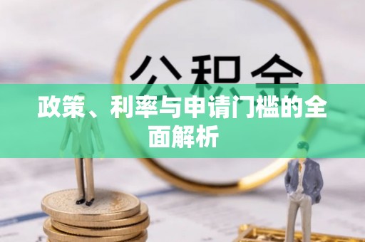 玉树政策、利率与申请门槛的全面解析