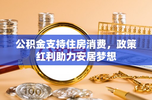 玉树公积金支持住房消费，政策红利助力安居梦想