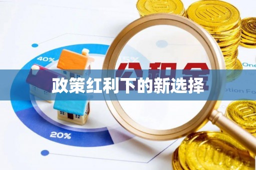 玉树政策红利下的新选择