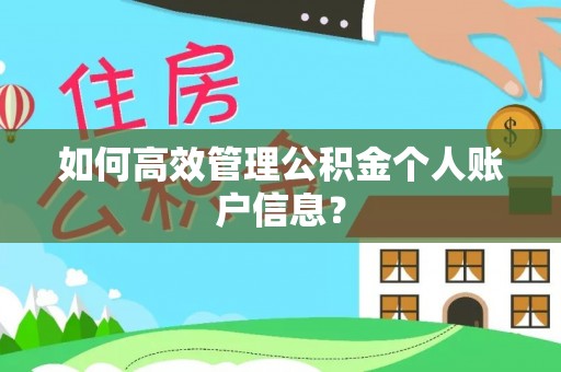 玉树如何高效管理公积金个人账户信息？