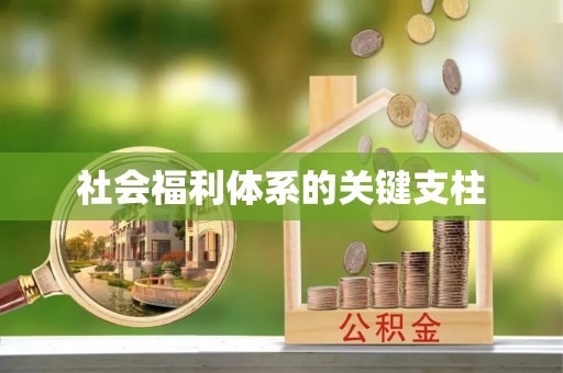 玉树社会福利体系的关键支柱