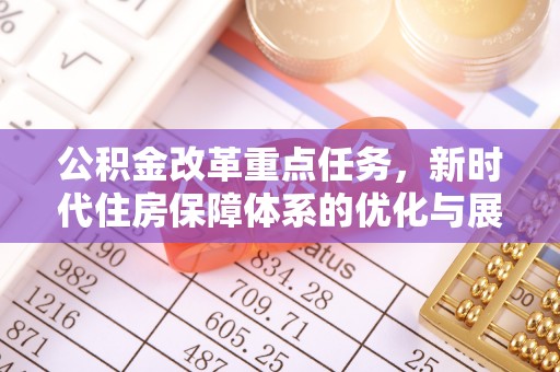 玉树公积金改革重点任务，新时代住房保障体系的优化与展望