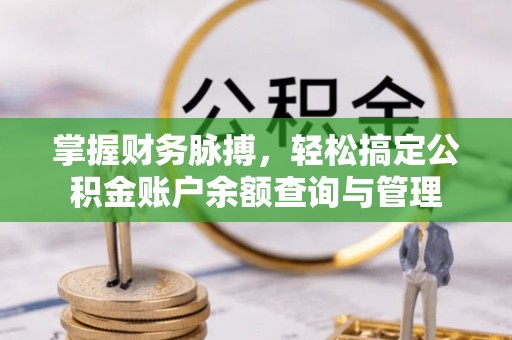 玉树掌握财务脉搏，轻松搞定公积金账户余额查询与管理