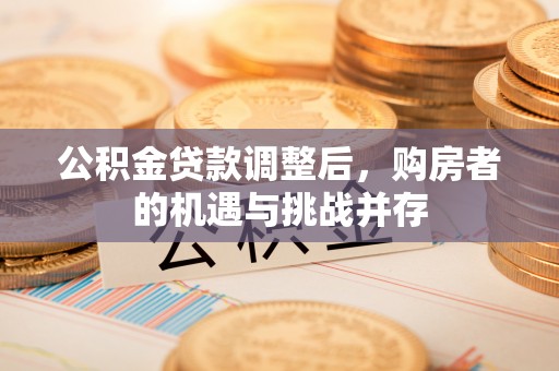 玉树公积金贷款调整后，购房者的机遇与挑战并存