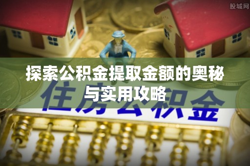 玉树探索公积金提取金额的奥秘与实用攻略