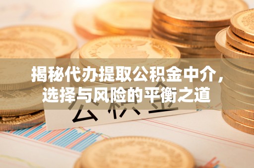 玉树揭秘代办提取公积金中介，选择与风险的平衡之道