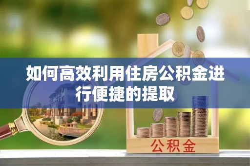 玉树如何高效利用住房公积金进行便捷的提取