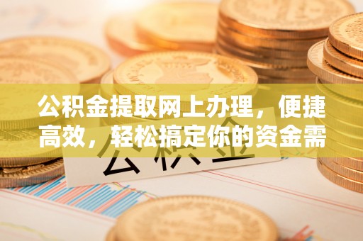 玉树公积金提取网上办理，便捷高效，轻松搞定你的资金需求