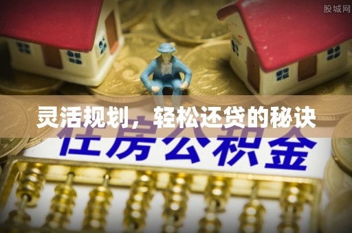 玉树灵活规划，轻松还贷的秘诀