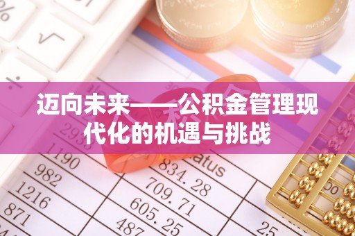 玉树迈向未来——公积金管理现代化的机遇与挑战