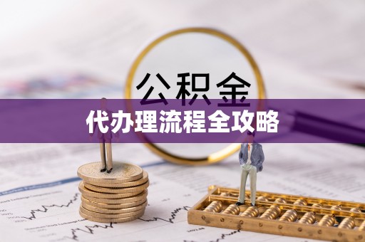 玉树代办理流程全攻略