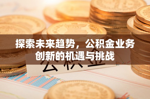 玉树探索未来趋势，公积金业务创新的机遇与挑战