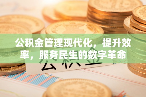 玉树公积金管理现代化，提升效率，服务民生的数字革命