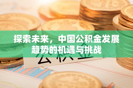玉树探索未来，中国公积金发展趋势的机遇与挑战