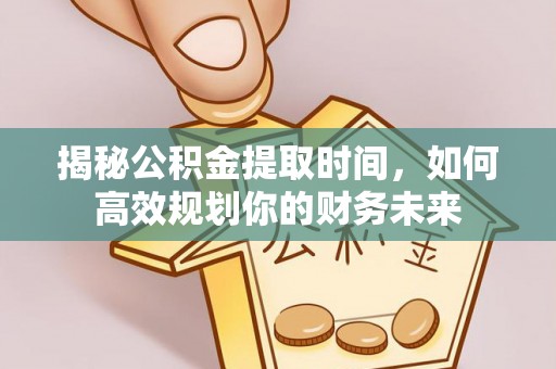 玉树揭秘公积金提取时间，如何高效规划你的财务未来