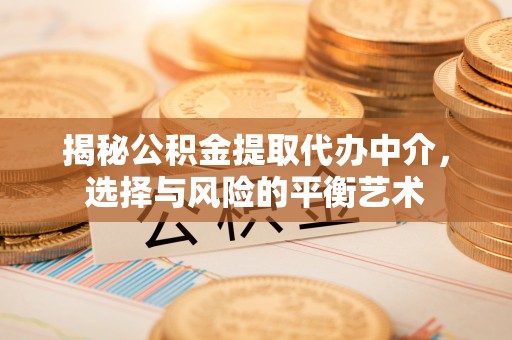 玉树揭秘公积金提取代办中介，选择与风险的平衡艺术