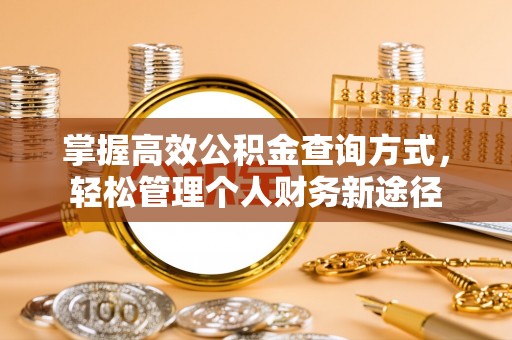 玉树掌握高效公积金查询方式，轻松管理个人财务新途径