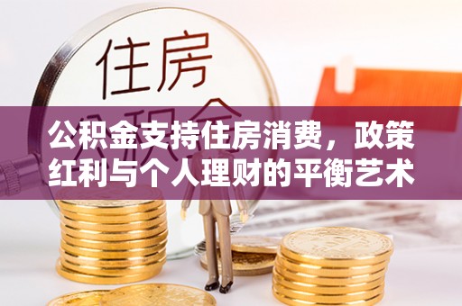 玉树公积金支持住房消费，政策红利与个人理财的平衡艺术