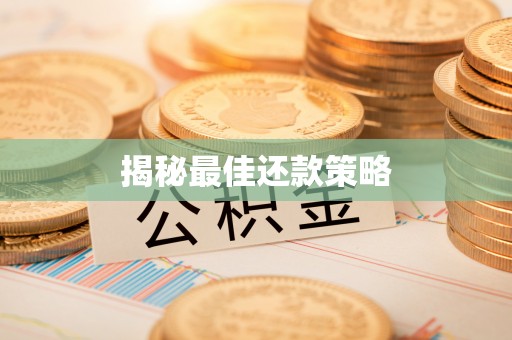 玉树揭秘最佳还款策略