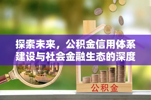 玉树探索未来，公积金信用体系建设与社会金融生态的深度融合