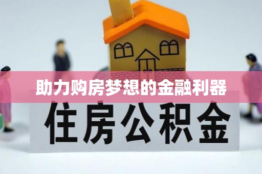玉树助力购房梦想的金融利器