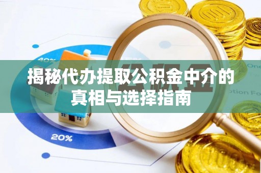 玉树揭秘代办提取公积金中介的真相与选择指南