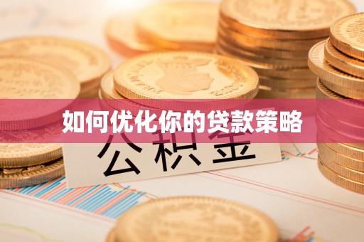 玉树如何优化你的贷款策略