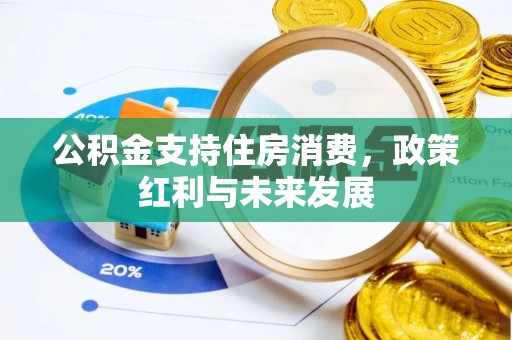 玉树公积金支持住房消费，政策红利与未来发展