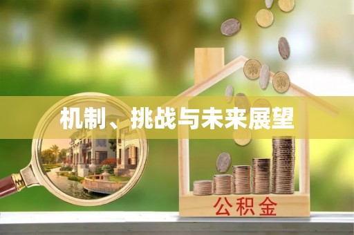 玉树机制、挑战与未来展望