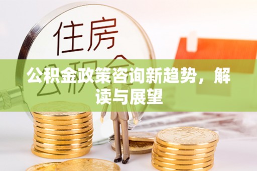 玉树公积金政策咨询新趋势，解读与展望