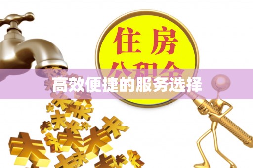 玉树高效便捷的服务选择
