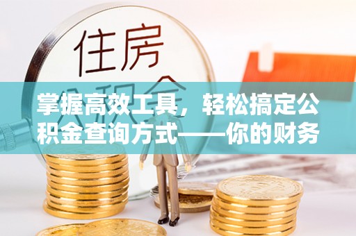 玉树掌握高效工具，轻松搞定公积金查询方式——你的财务助手