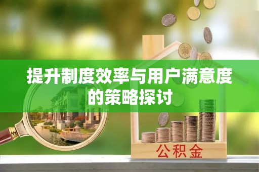 玉树提升制度效率与用户满意度的策略探讨
