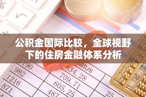 玉树公积金国际比较，全球视野下的住房金融体系分析